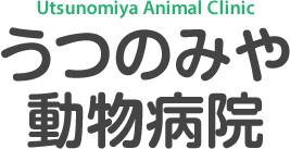 うつのみや動物病院